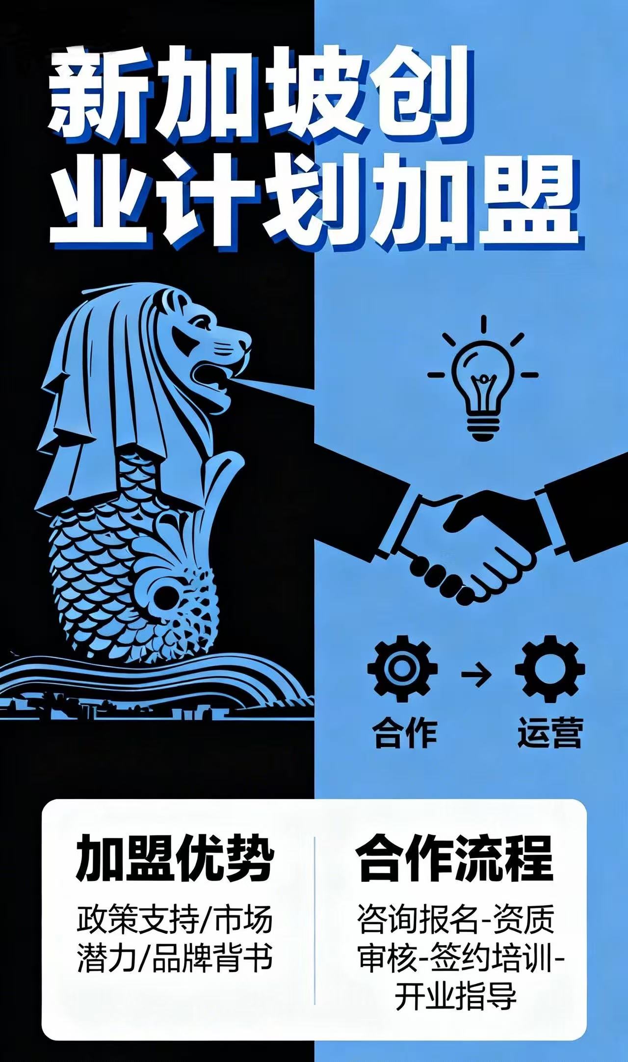 新加坡创业计划加盟